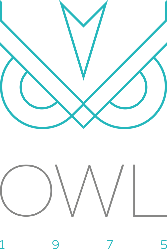 Owl 1975